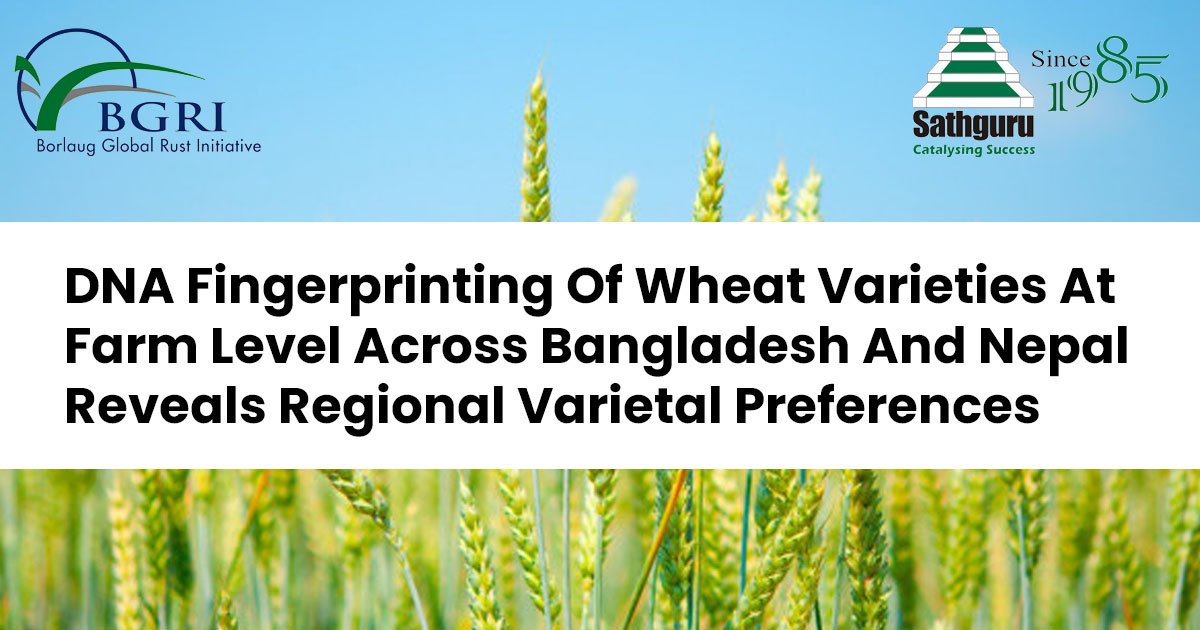 DNA Fingerprinting Of Wheat Varieties At Farm Level Across Bangladesh ...