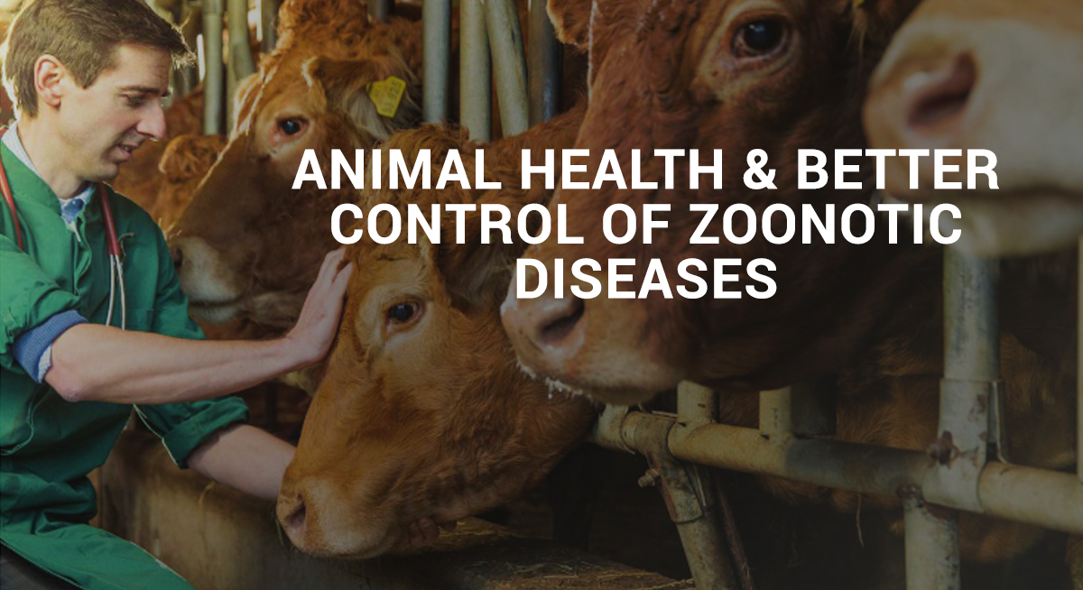 Animal Health & Better Control of Zoonotic Diseases