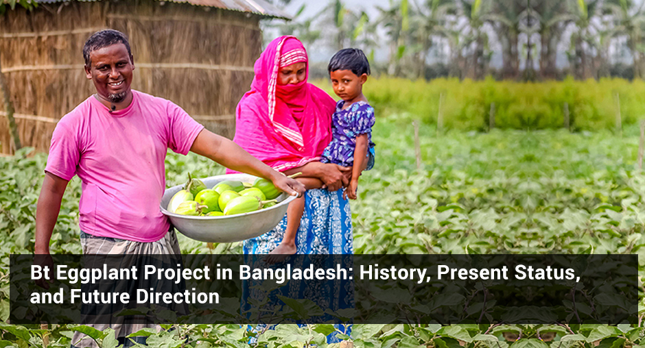Bt Eggplant Project in Bangladesh: History, Present Status, and Future ...