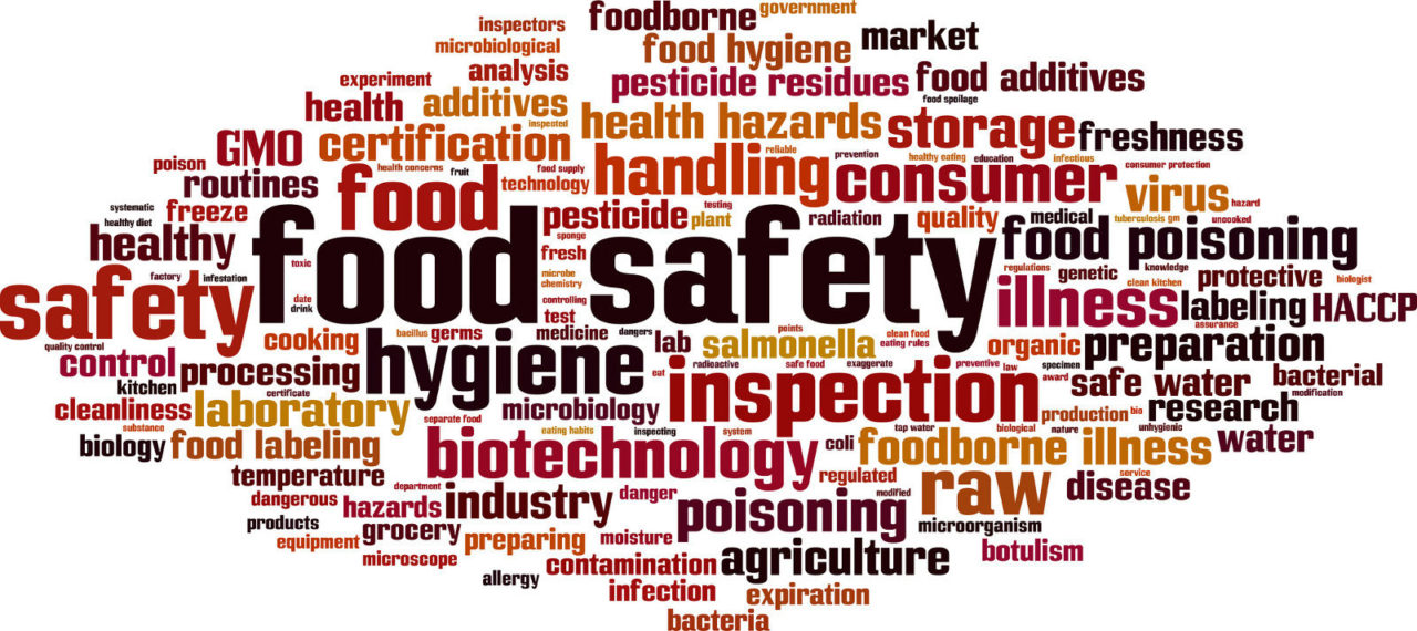 Revamping and building capacity for enforcement of new food safety law in  India