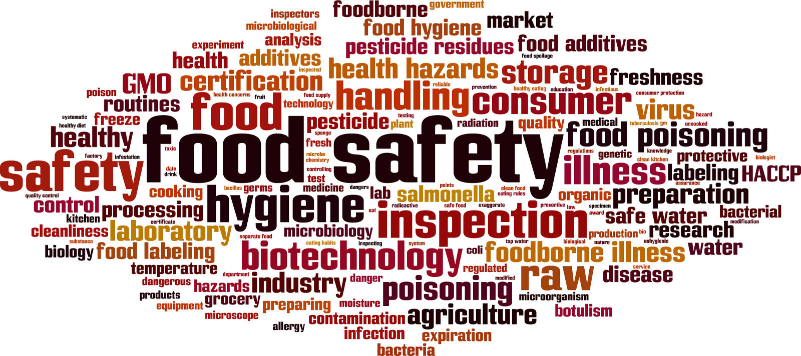 Revamping and building capacity for enforcement of new food safety law